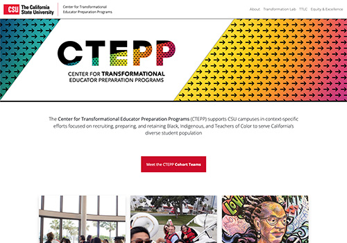 Screenshot of CTEPP website